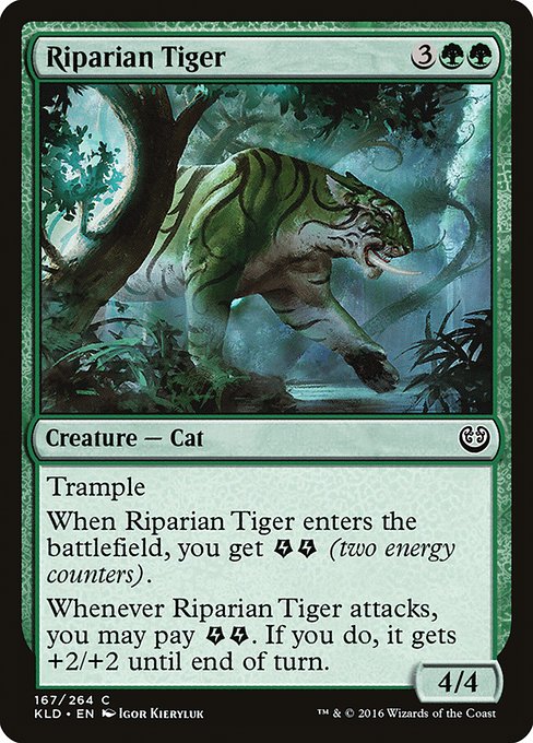 KLD: Riparian Tiger
