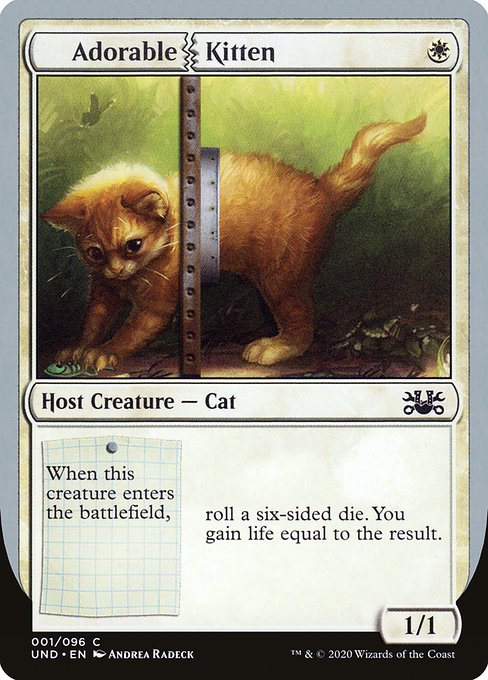 UND: Adorable Kitten