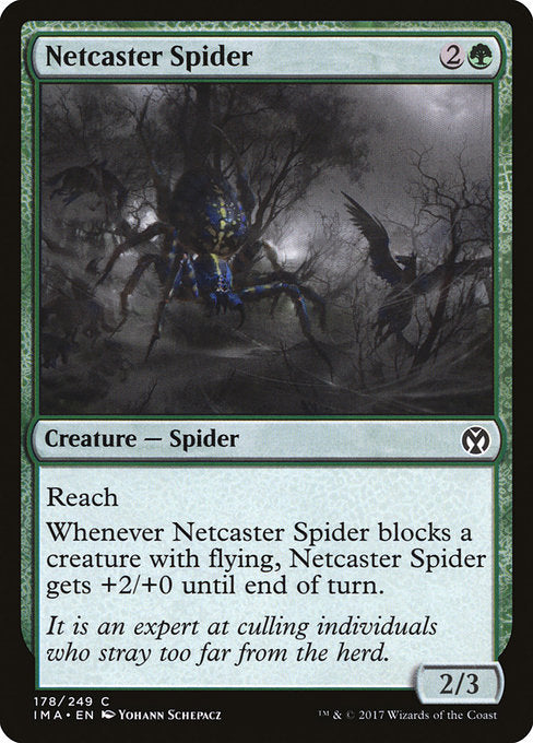 IMA: Netcaster Spider