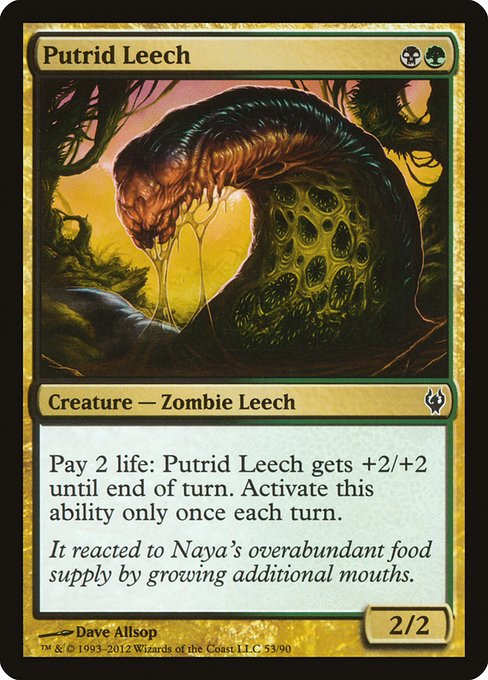 DDJ: Putrid Leech