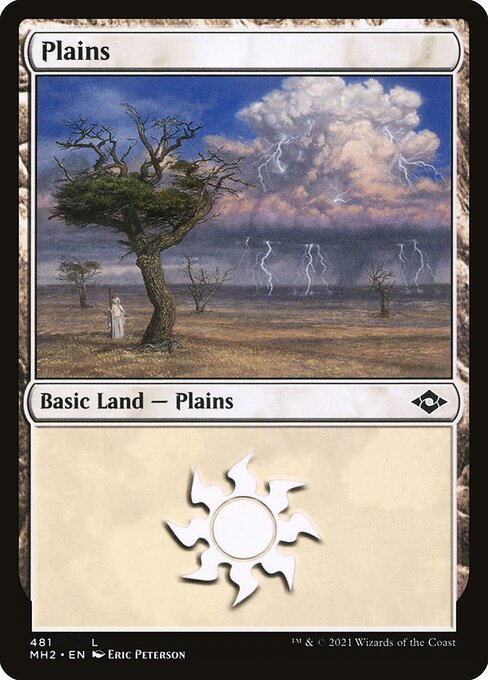 MH2: Plains (481) (Foil Etched)