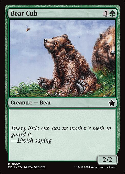 FDN: Bear Cub
