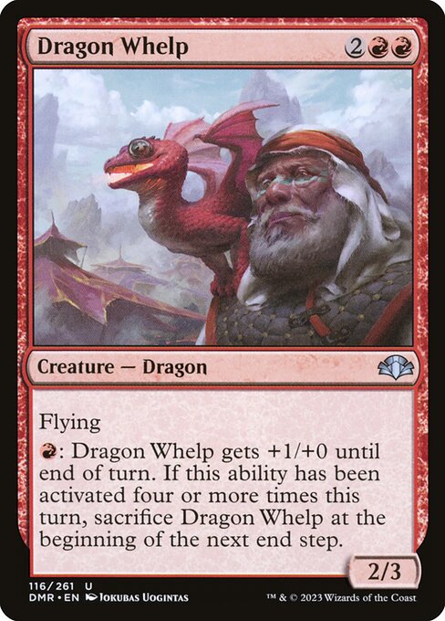 DMR: Dragon Whelp