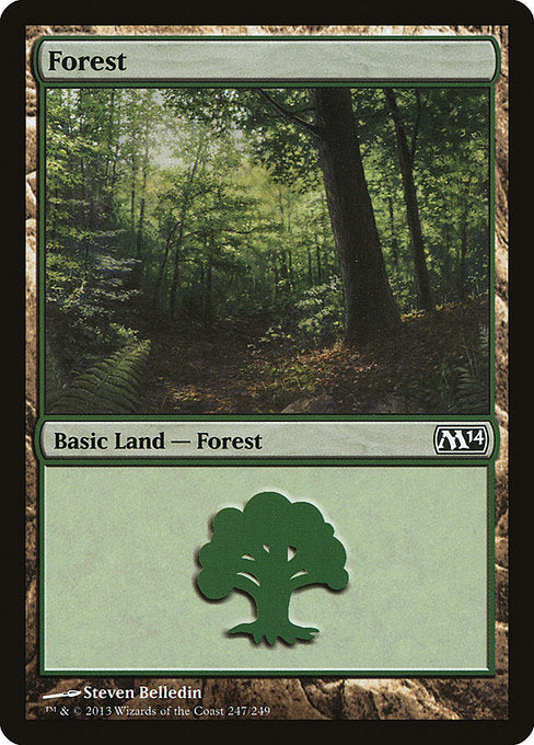 M14: Forest (247) (Foil)