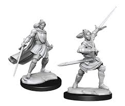 D&D Critical Role Unpainted Miniatures: Half-Elf Xhorhas Paladin