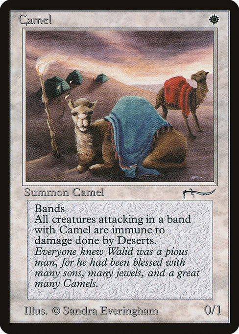 ARN: Camel