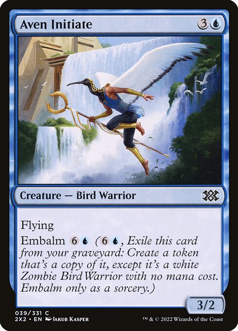 2X2: Aven Initiate (Foil)