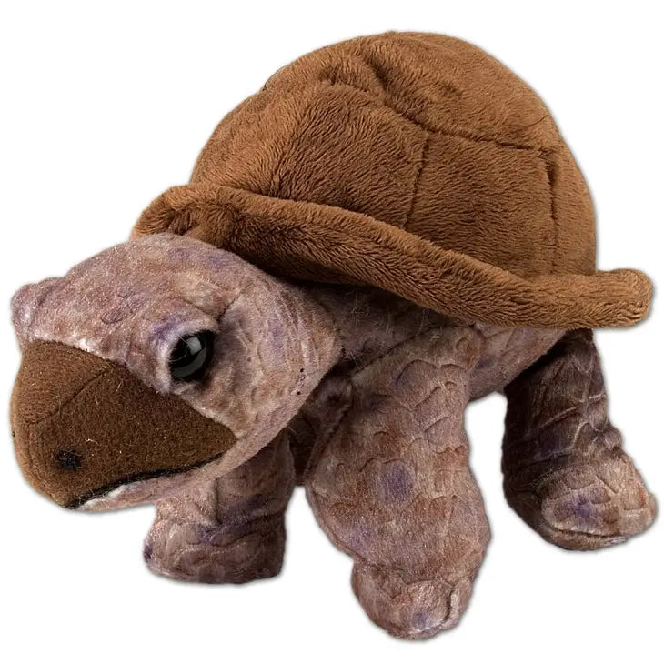 Ck-Mini Tortoise Stuffed Animal 8"