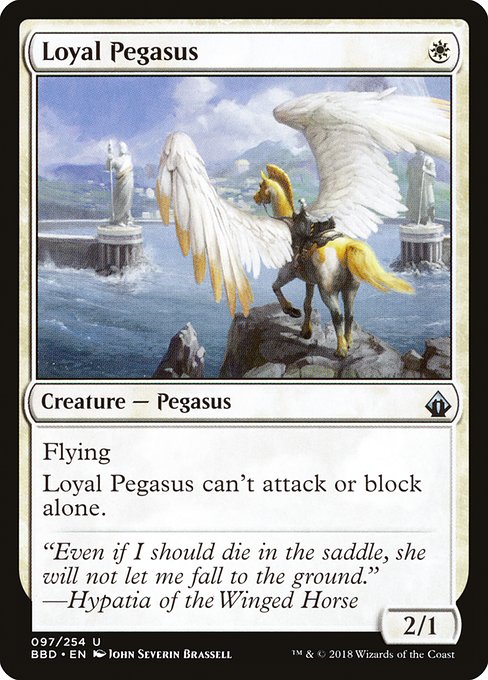 BBD: Loyal Pegasus