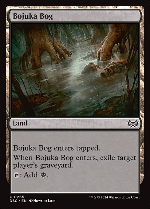 DSC: Bojuka Bog