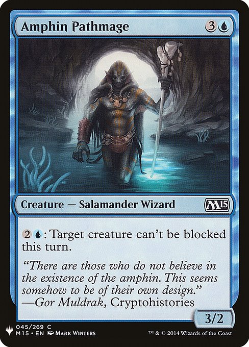 PLST: Amphin Pathmage