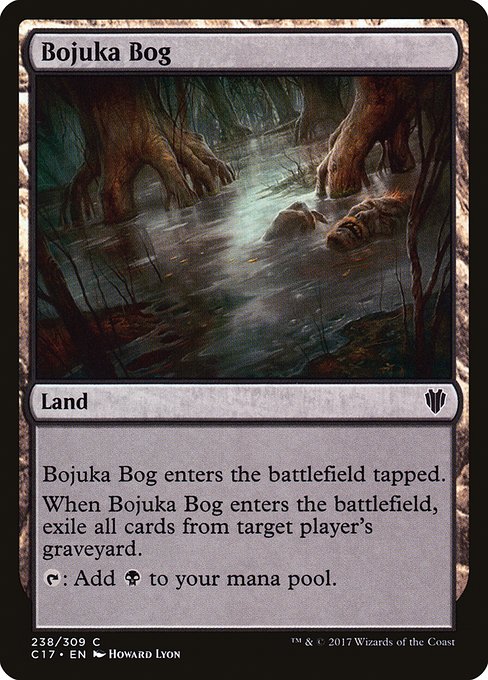 C17: Bojuka Bog