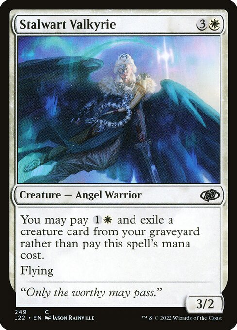 J22: Stalwart Valkyrie