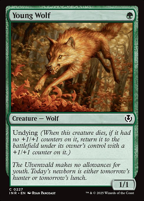 INR: Young Wolf (Foil)