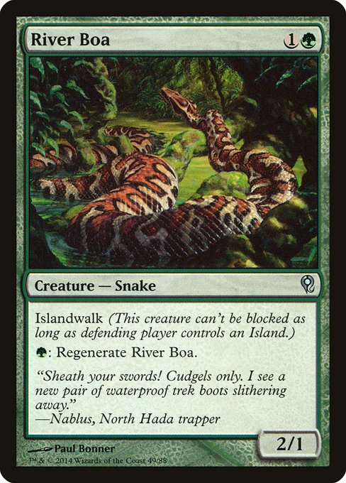 DDM: River Boa