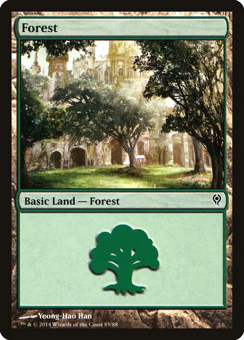 DDM: Forest (85)