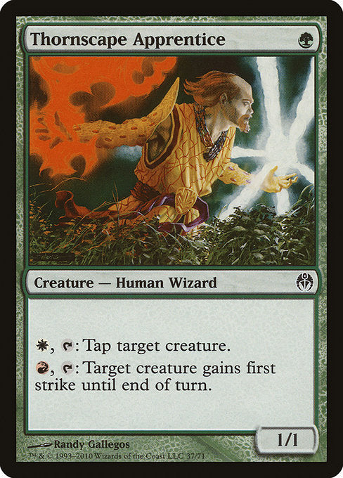 DDE: Thornscape Apprentice
