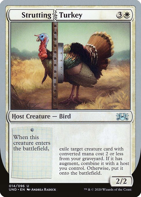 UND: Strutting Turkey