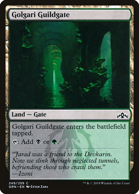 GRN: Golgari Guildgate (249)