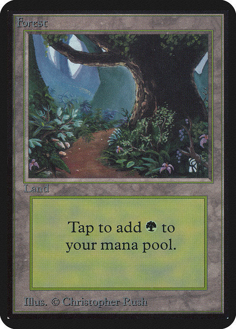 LEA: Forest (B)