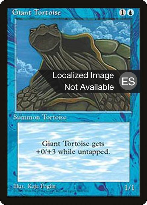 4BB: Giant Tortoise