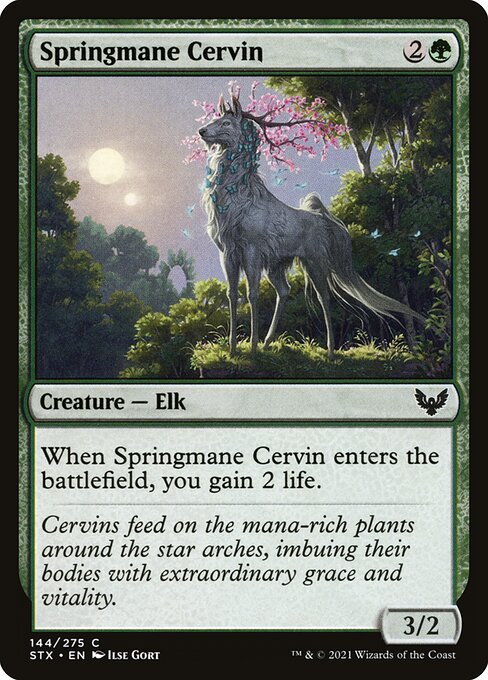 STX: Springmane Cervin