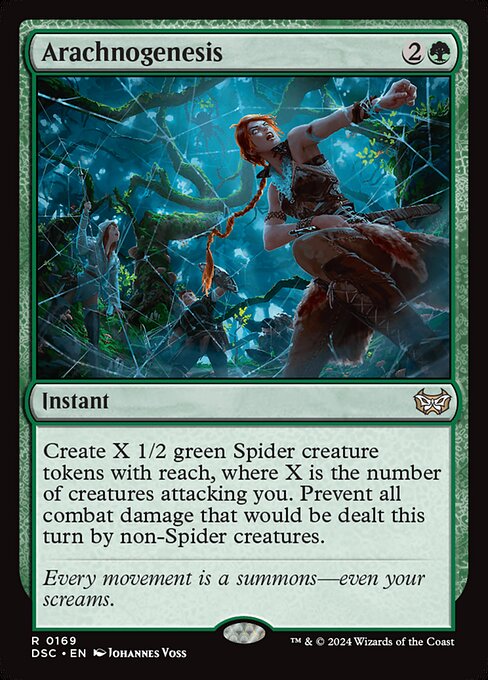DSC: Arachnogenesis