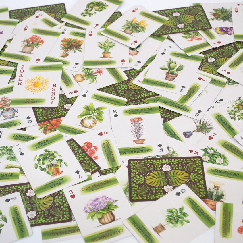 Houseplant Playing Cards