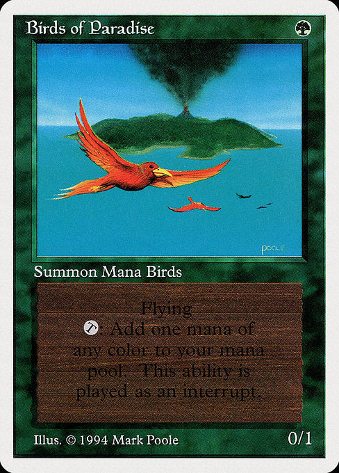 SUM: Birds of Paradise