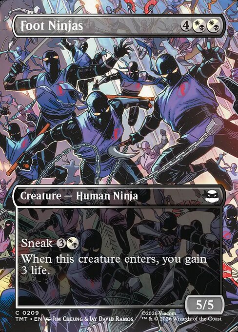 TMT: Foot Ninjas (Borderless)