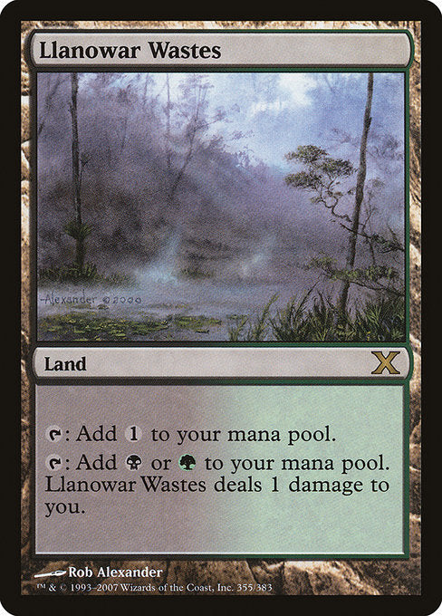 10E: Llanowar Wastes (Foil)
