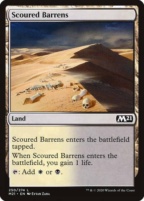 M21: Scoured Barrens (Foil)