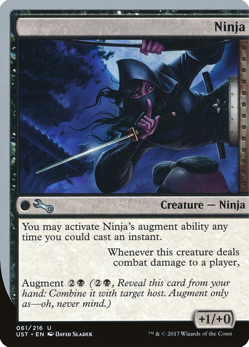 UST: Ninja