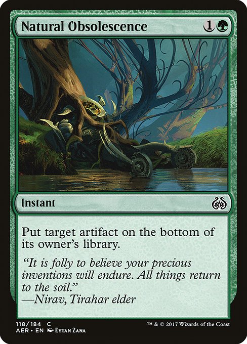 AER: Natural Obsolescence