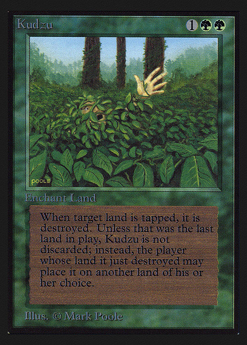 CEI: Kudzu (IE)