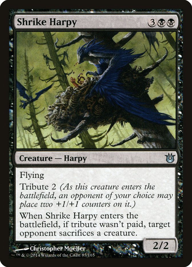 Shrike Harpy :: BNG