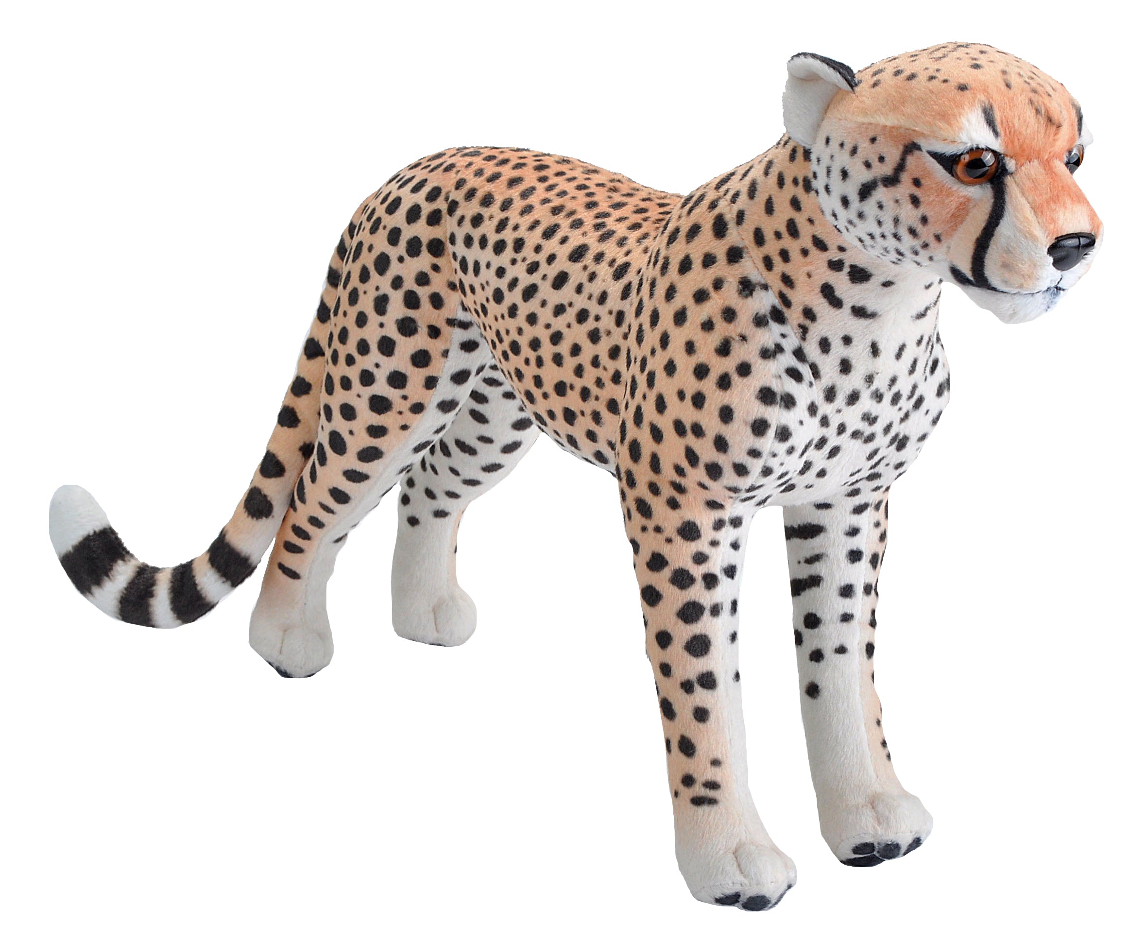 Living Earth Cheetah