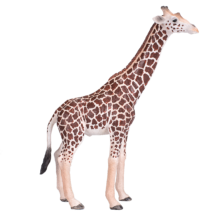Mojo Animals: Giraffe Male