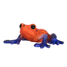 Mojo Animals: Poison Dart Tree Frog