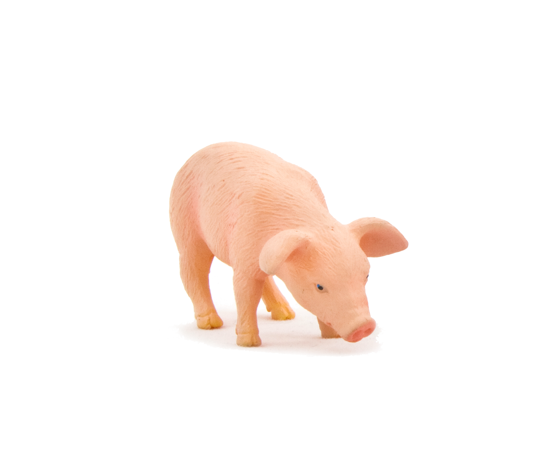 Mojo Animals: Piglet Feeding