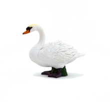 Mojo Animals: Mute Swan