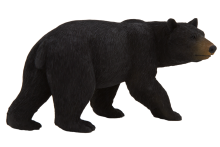 Mojo Animals: American Black Bear