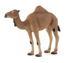 Mojo Animals: Arabian Camel