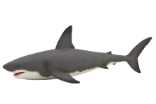 Mojo Animals: Great White Shark (Recolor)