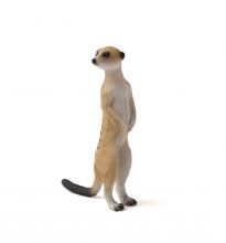 Mojo Animals: Meerkat