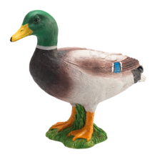 Mojo Animals: Mallard Duck (Male)