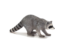 Mojo Animals: Raccoon