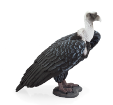 Mojo Animals: Griffon Vulture