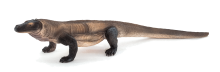 Mojo Animals: Komodo Dragon (Recolor)