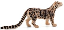Mojo Animals: Clouded Leopard